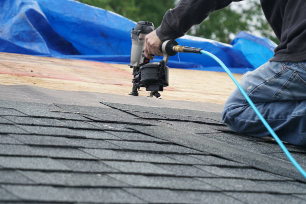 Best Solar Panel Roofing Installation  in Dixon, KY